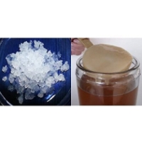 Pack 100g di Granuli Di Kéfir Di Acqua + Disco SCOBY Kombucha