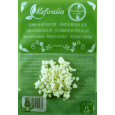 Pack 2x 40g di Granuli Di Kéfir Di Latte