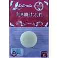 Disco SCOBY Kombucha