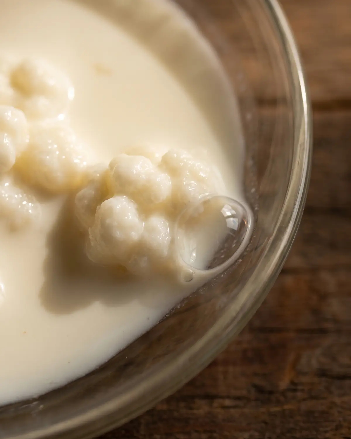 kefir perché fa bene Macro di kefir di latte cremoso con una bolla vicino a un grano e bordo del vetro in ombra