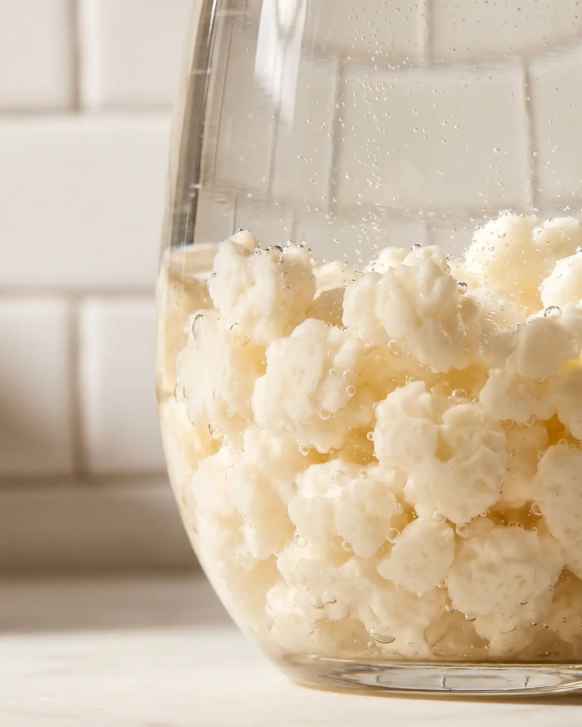 squalo fermentato Bolle fini tra grani di kefir viste attraverso il vetro curvo, con sfondo di piastrelle bianche