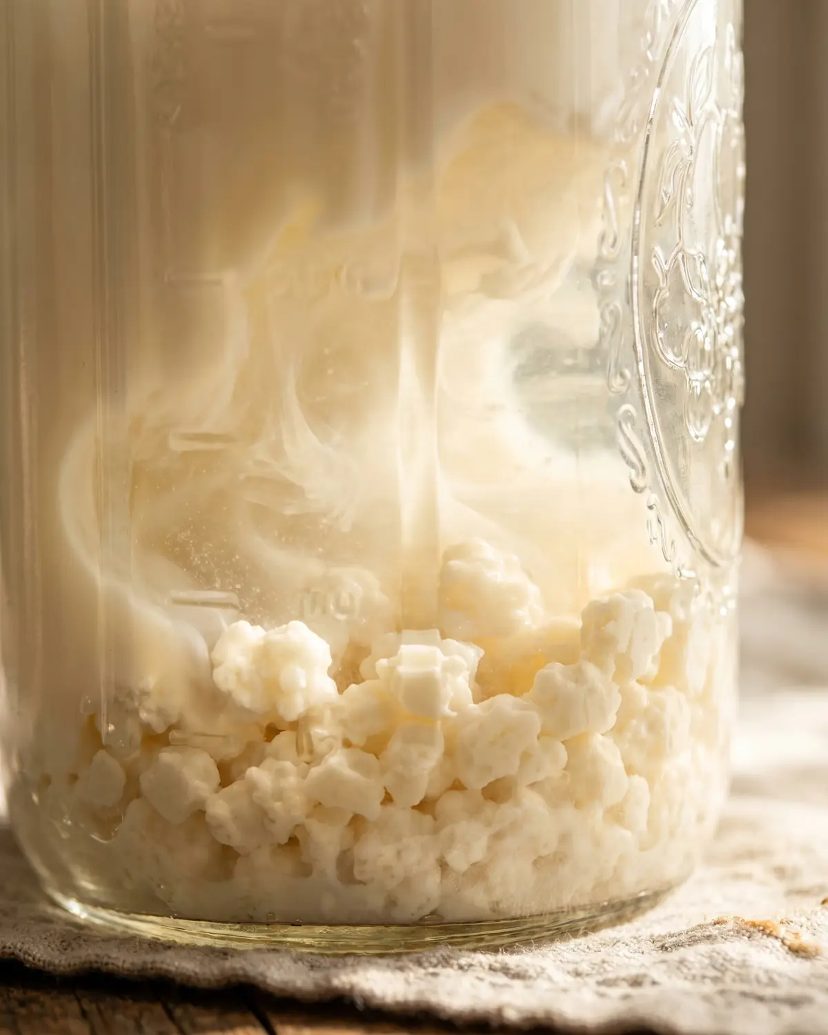 kefir tutti i giorni Macro di grani di kefir bianco crema sul fondo del barattolo, circondati da latte leggermente traslucido
