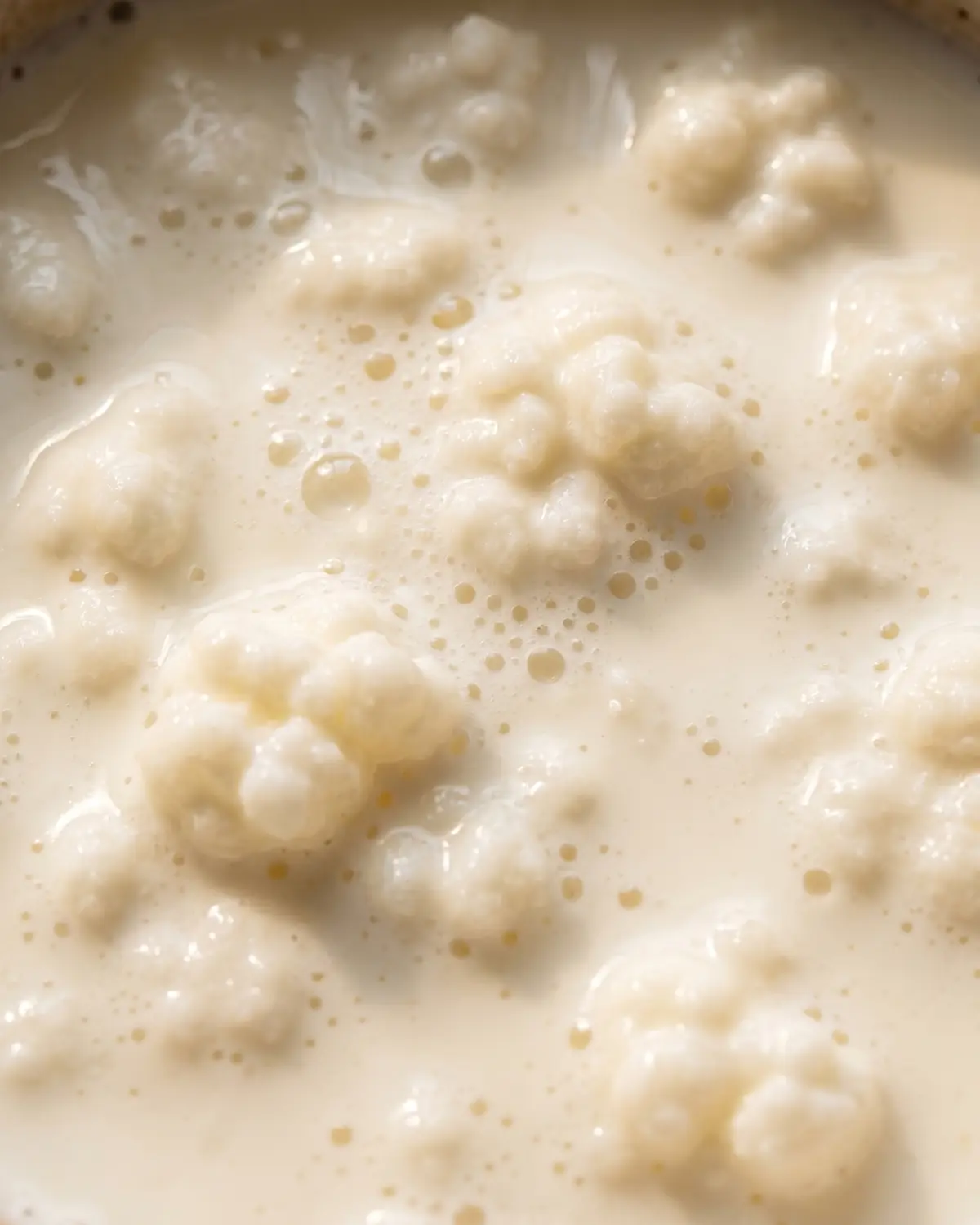 Macro della superficie del kefir di latte con bollicine sottili e consistenza cremosa sotto luce zenitale.