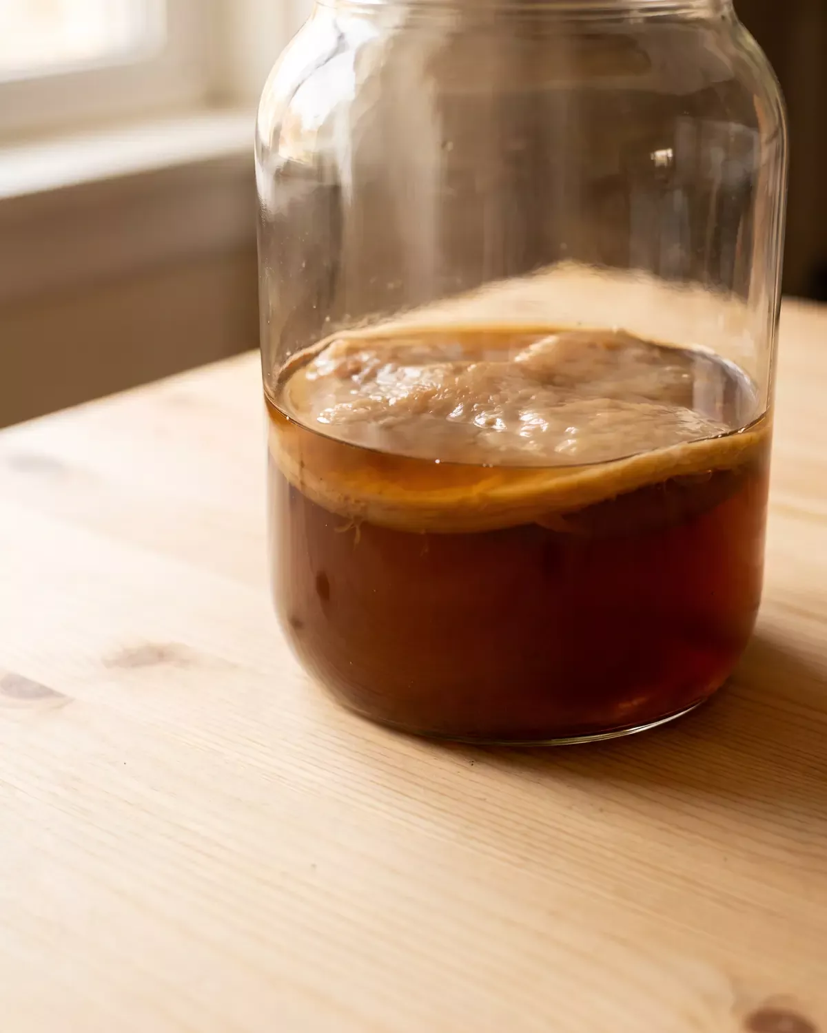kombucha muffa Base del barattolo di kombucha vista dal basso, con lo SCOBY ingrandito come una luna ambrata.